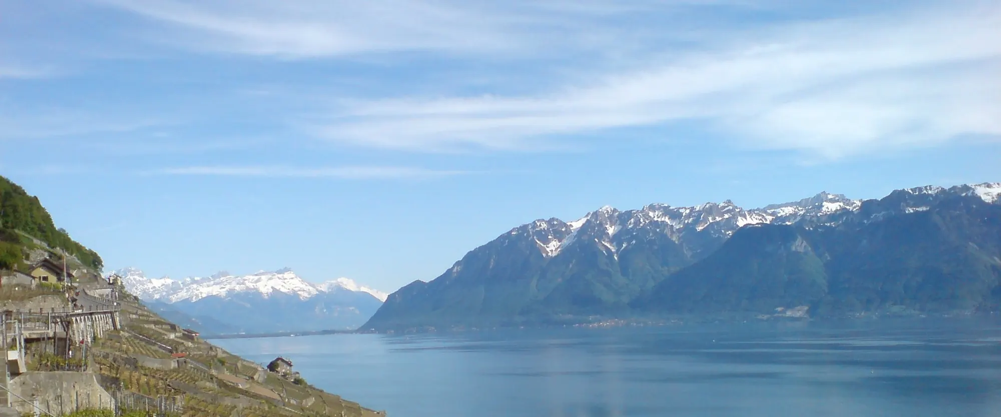 Le Léman et les Alpes vus des vignes en terrasses