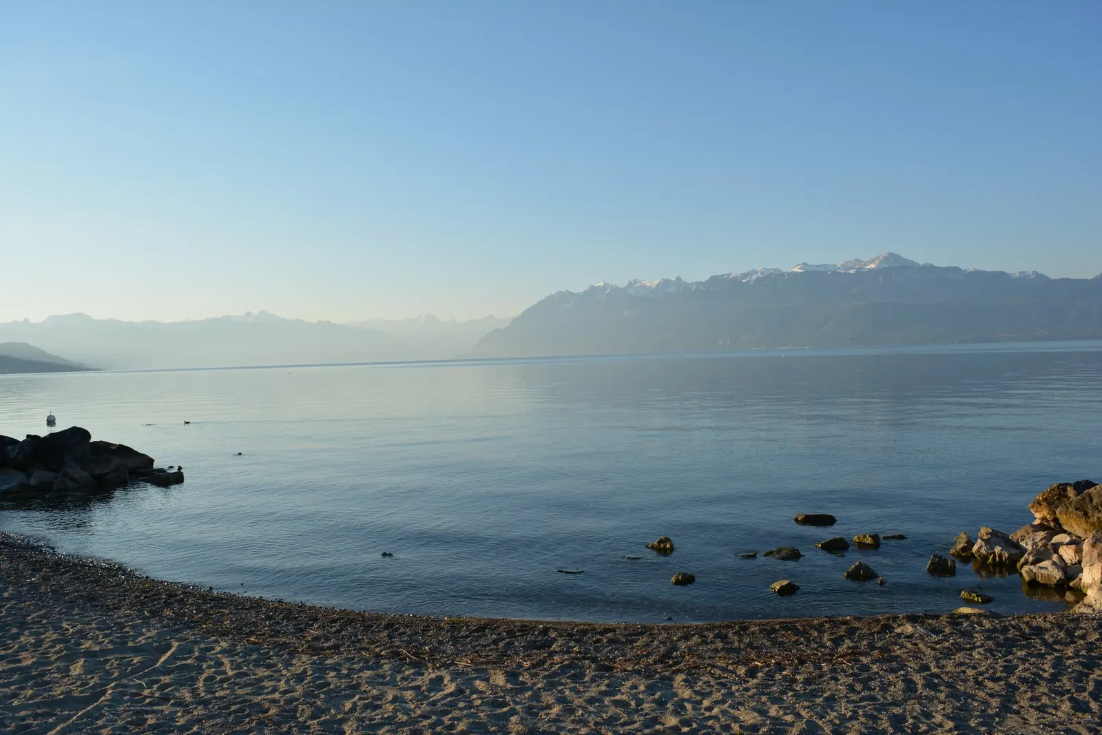 Les rives du lac à Pully